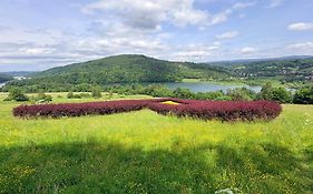 Domki nad Stawem Uherce