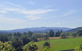 Domki nad Stawem Uherce